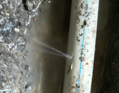 金华市测漏水哪家好