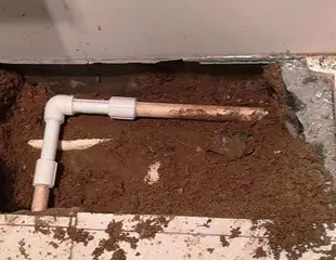 金华市测漏水哪家好