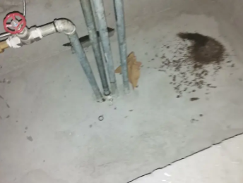 金华市卫生间测漏水价格明细